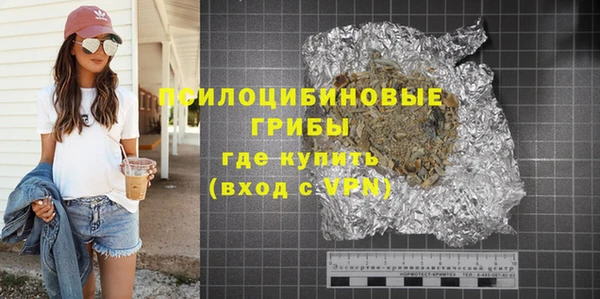 ГАЛЛЮЦИНОГЕННЫЕ ГРИБЫ Алексеевка