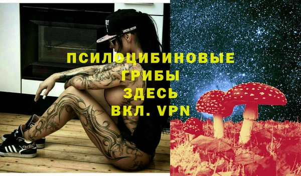 наркотики Алексин
