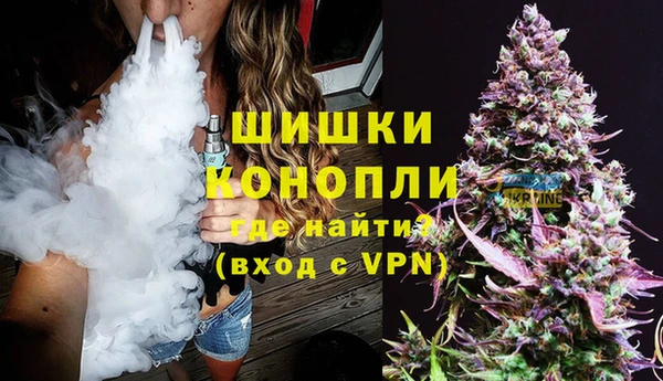 бошки Сатка