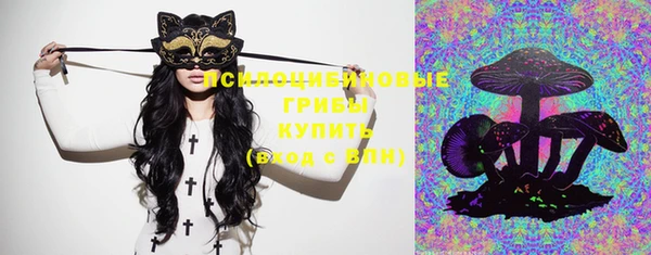 ГАЛЛЮЦИНОГЕННЫЕ ГРИБЫ Алексеевка