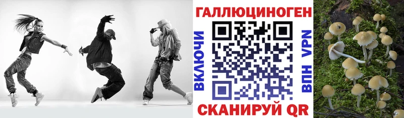 как найти закладки  Жирновск  Псилоцибиновые грибы MAGIC MUSHROOMS 