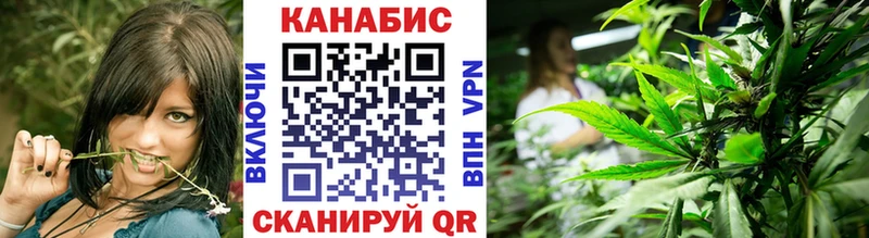 Марихуана план  где можно купить   Жирновск 
